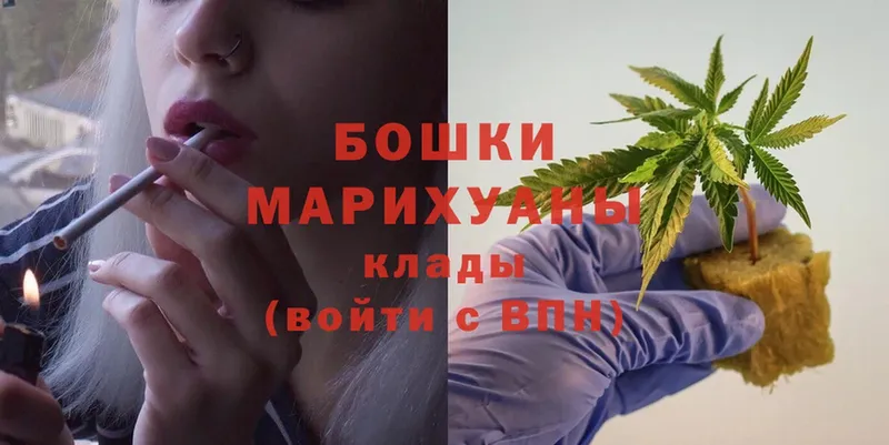 Шишки марихуана Amnesia  Высоковск 